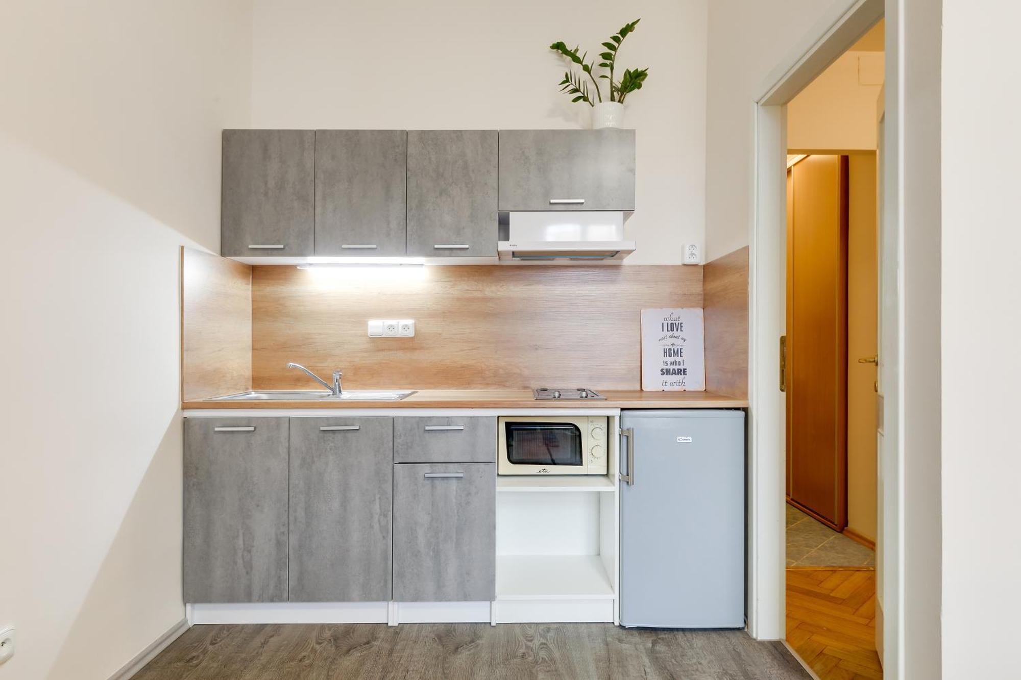 Vita Nejedleho Apartments Πράγα Εξωτερικό φωτογραφία